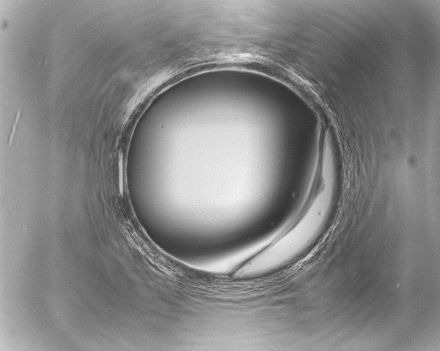 X0000054471171200508191720