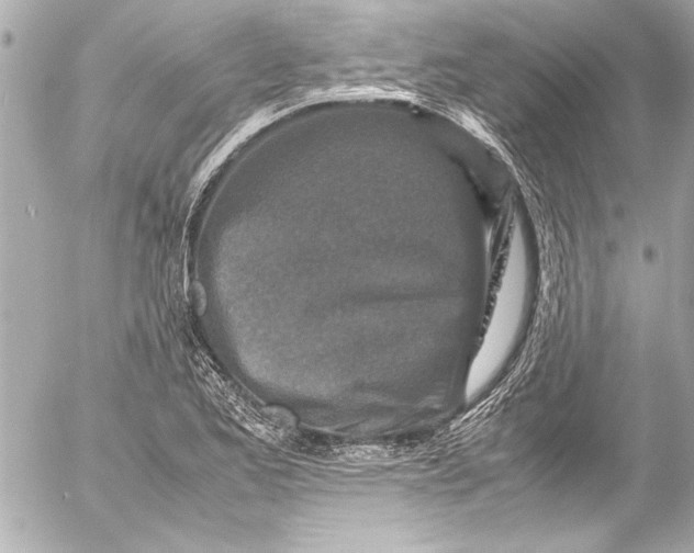 X0000054471173200508191720