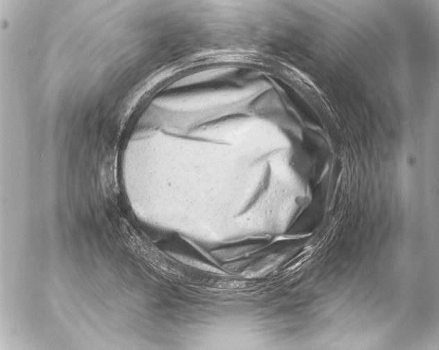 X0000054471174200508191720