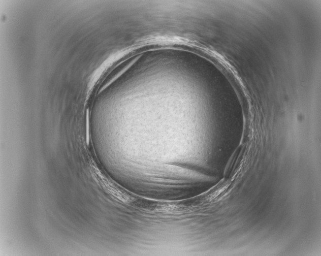 X0000054471175200508191720