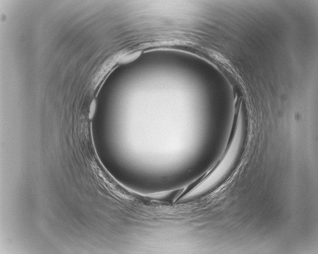 X0000054471177200508191720