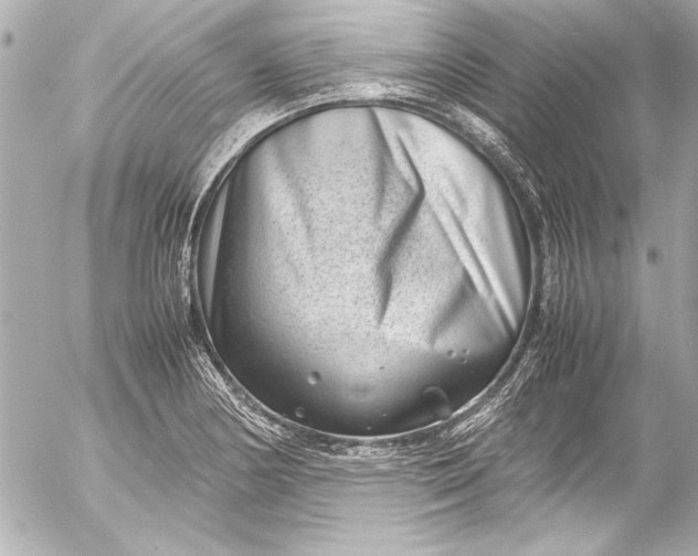 X0000054471178200508191720