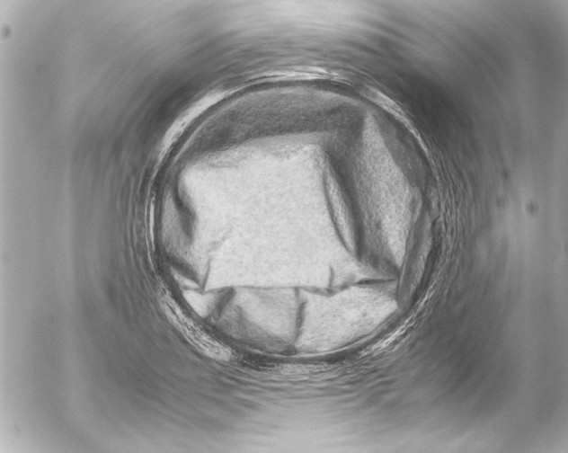 X0000054471179200508191720