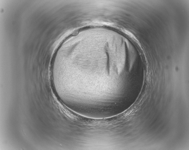 X0000054471183200508191720