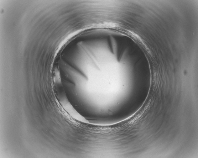 X0000054471184200508191720