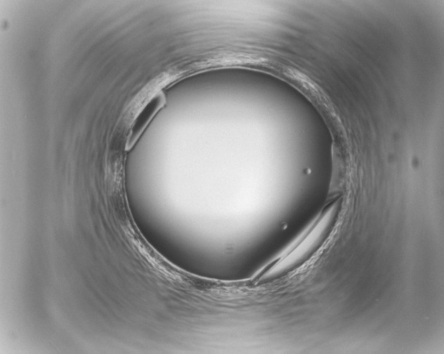 X0000054471185200508191720