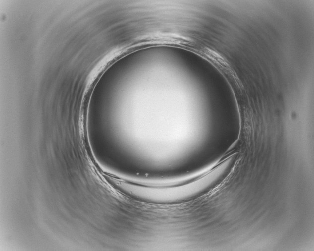 X0000054471188200508191720