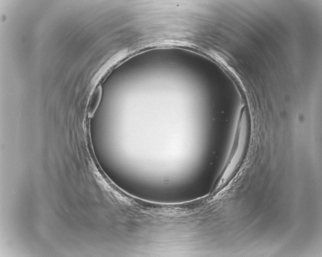 X0000054471189200508191720