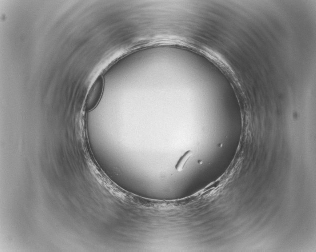 X0000054471190200508191720