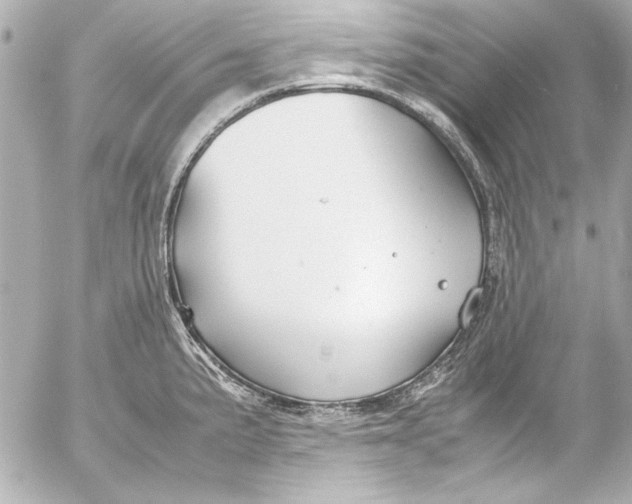 X0000054471191200508191720