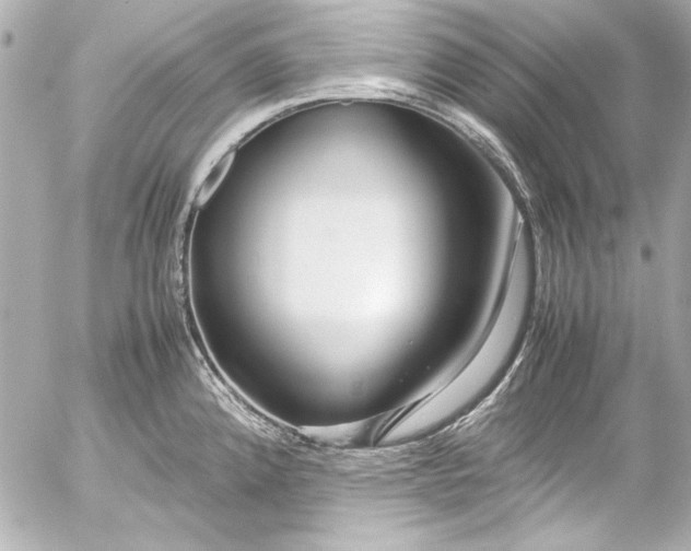 X0000054471192200508191720