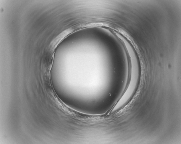 X0000054471193200508191720