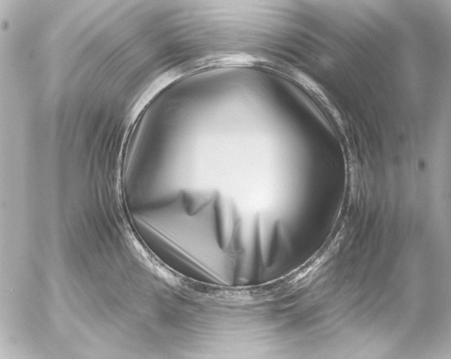 X0000054471194200508191720