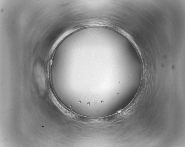 X0000054471195200508191720