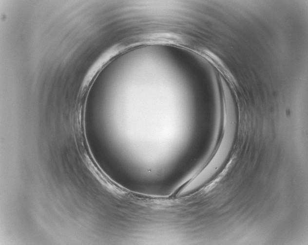 X0000054471196200508191720