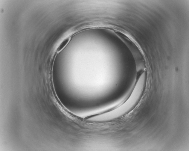 X0000054471197200508191720