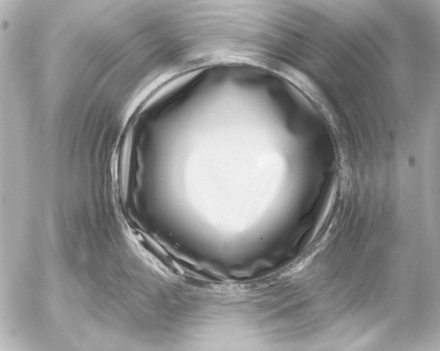 X0000054471198200508191720