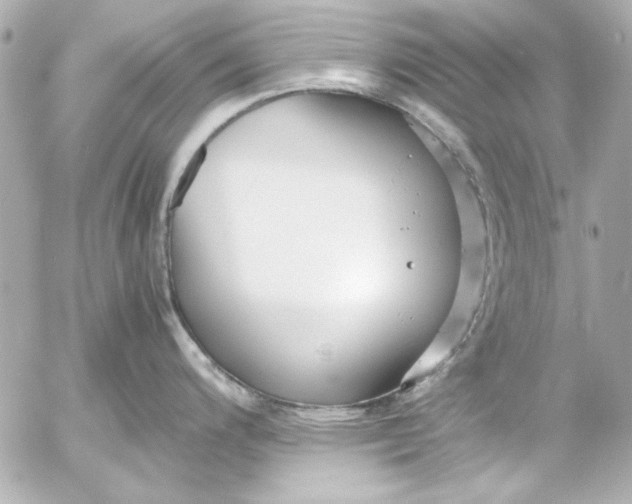 X0000054471200200508191720