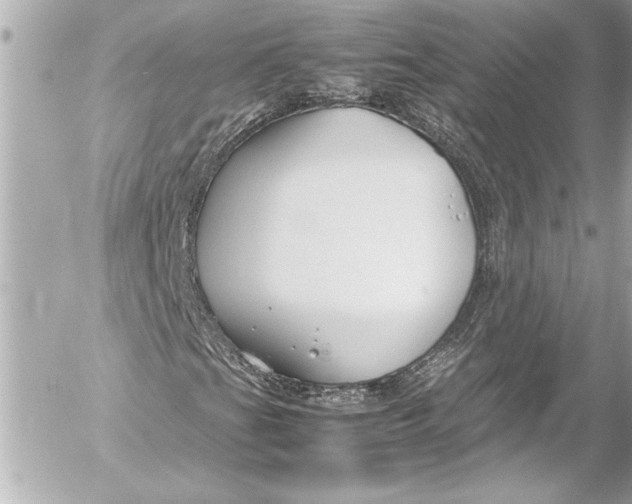 X0000054471201200508191719