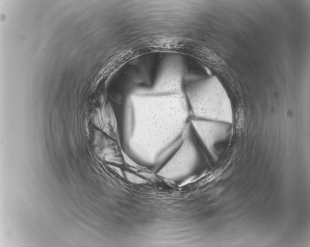 X0000054471202200508191719