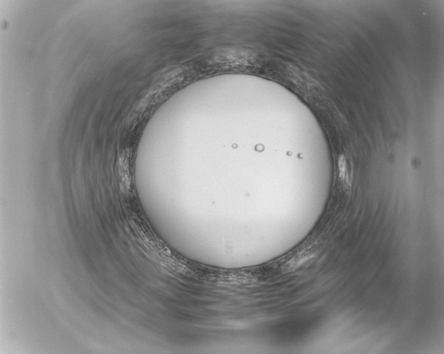 X0000054471203200508191719