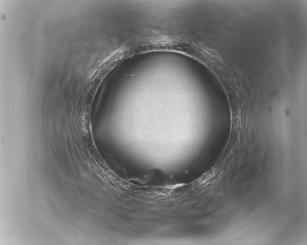 X0000054471205200508191719