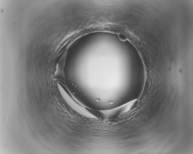 X0000054471206200508191719