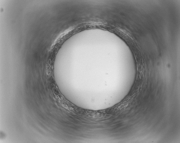 X0000054471207200508191719