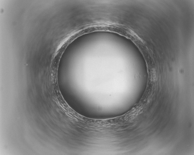 X0000054471208200508191719