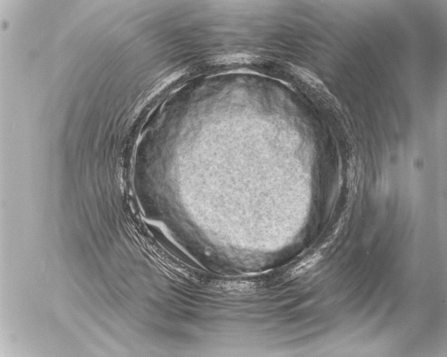 X0000054471209200508191719