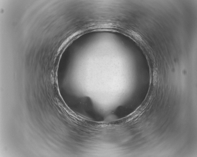 X0000054471212200508191719