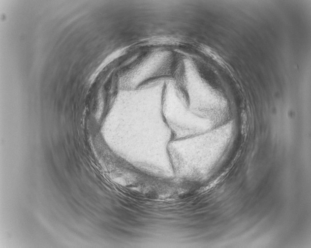 X0000054471213200508191719