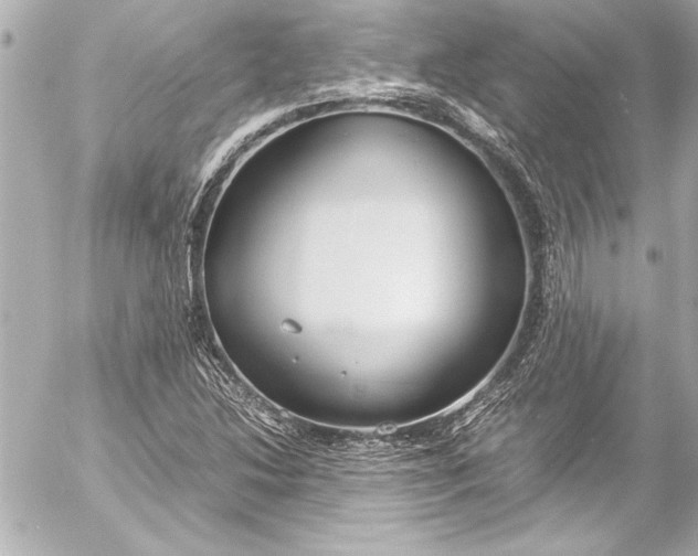 X0000054471214200508191719