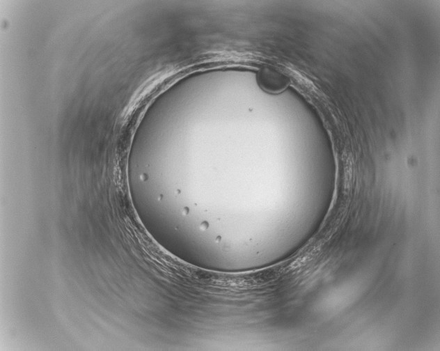 X0000054471215200508191719