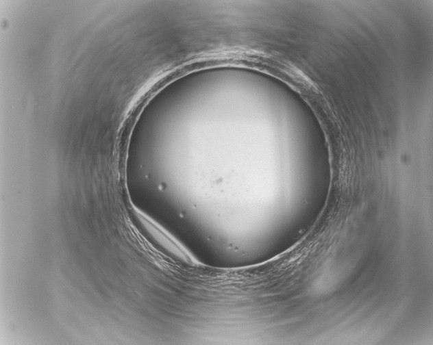 X0000054471216200508191719