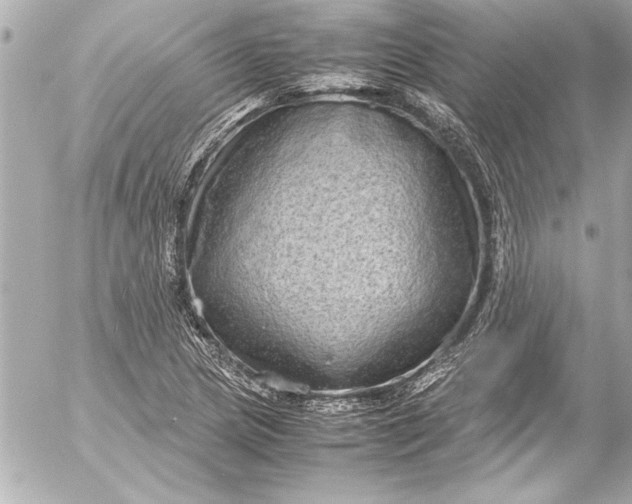 X0000054471217200508191719