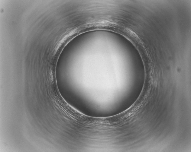 X0000054471218200508191719