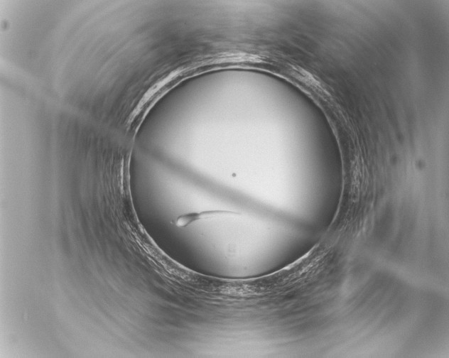 X0000054471220200508191719