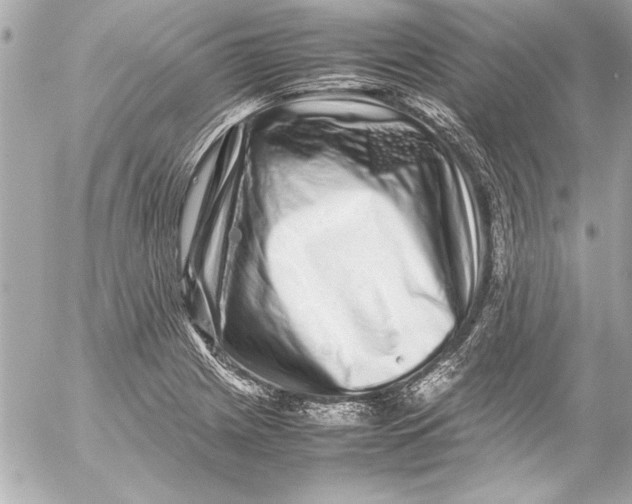 X0000054471225200508191719