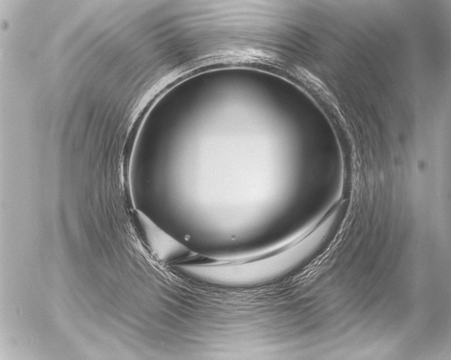 X0000054471226200508191719