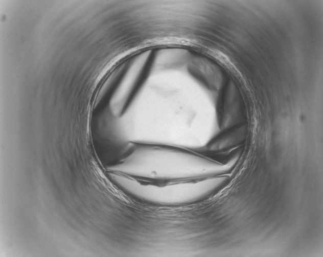 X0000054471228200508191719