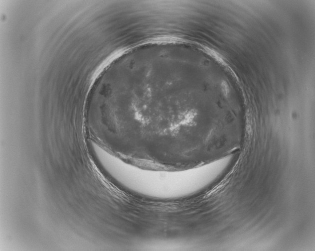 X0000054471229200508191719