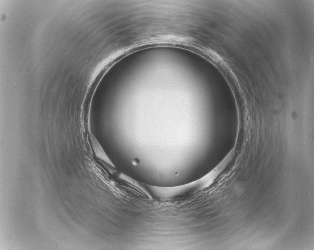 X0000054471230200508191719