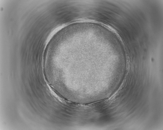 X0000054471231200508191719