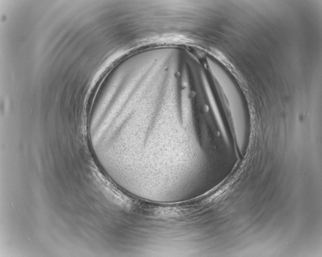 X0000054471232200508191719