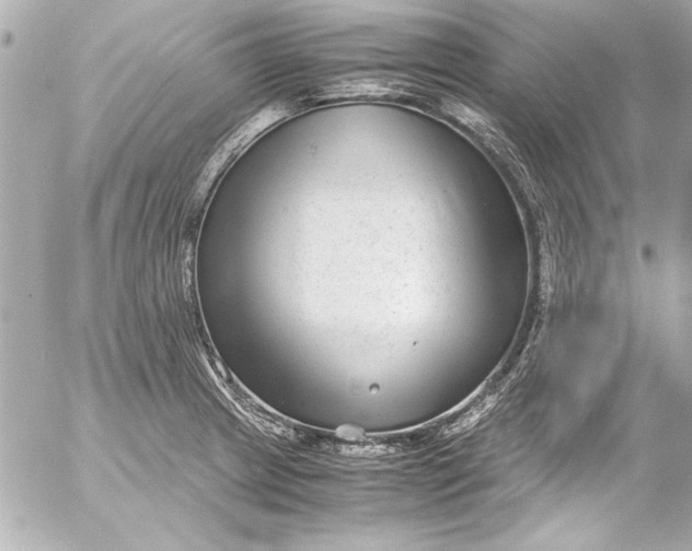 X0000054471233200508191719