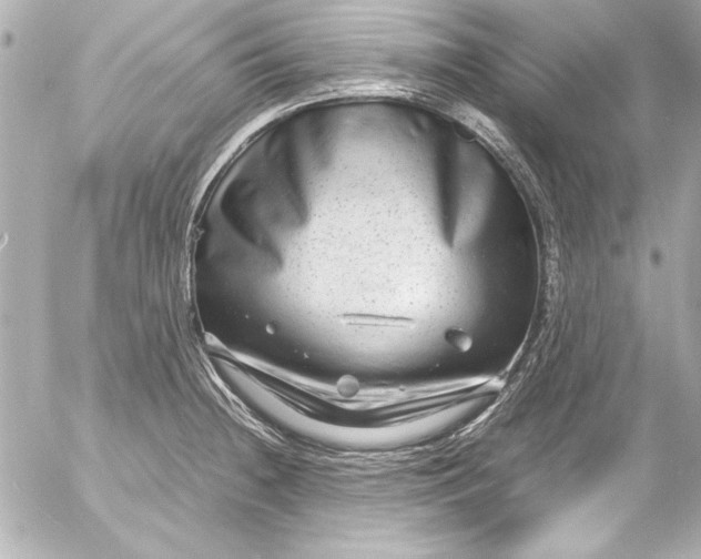 X0000054471236200508191719