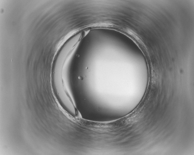 X0000054471237200508191720