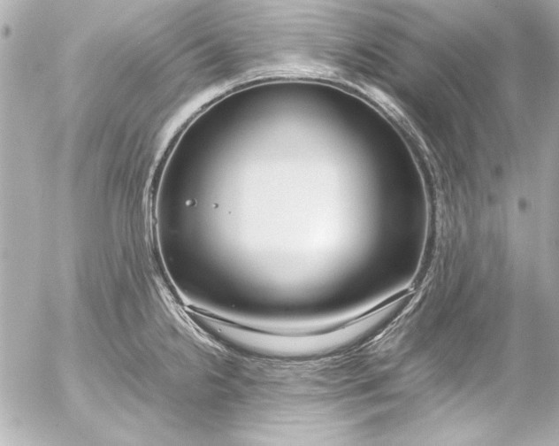 X0000054471238200508191720