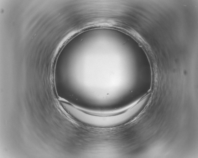 X0000054471240200508191720